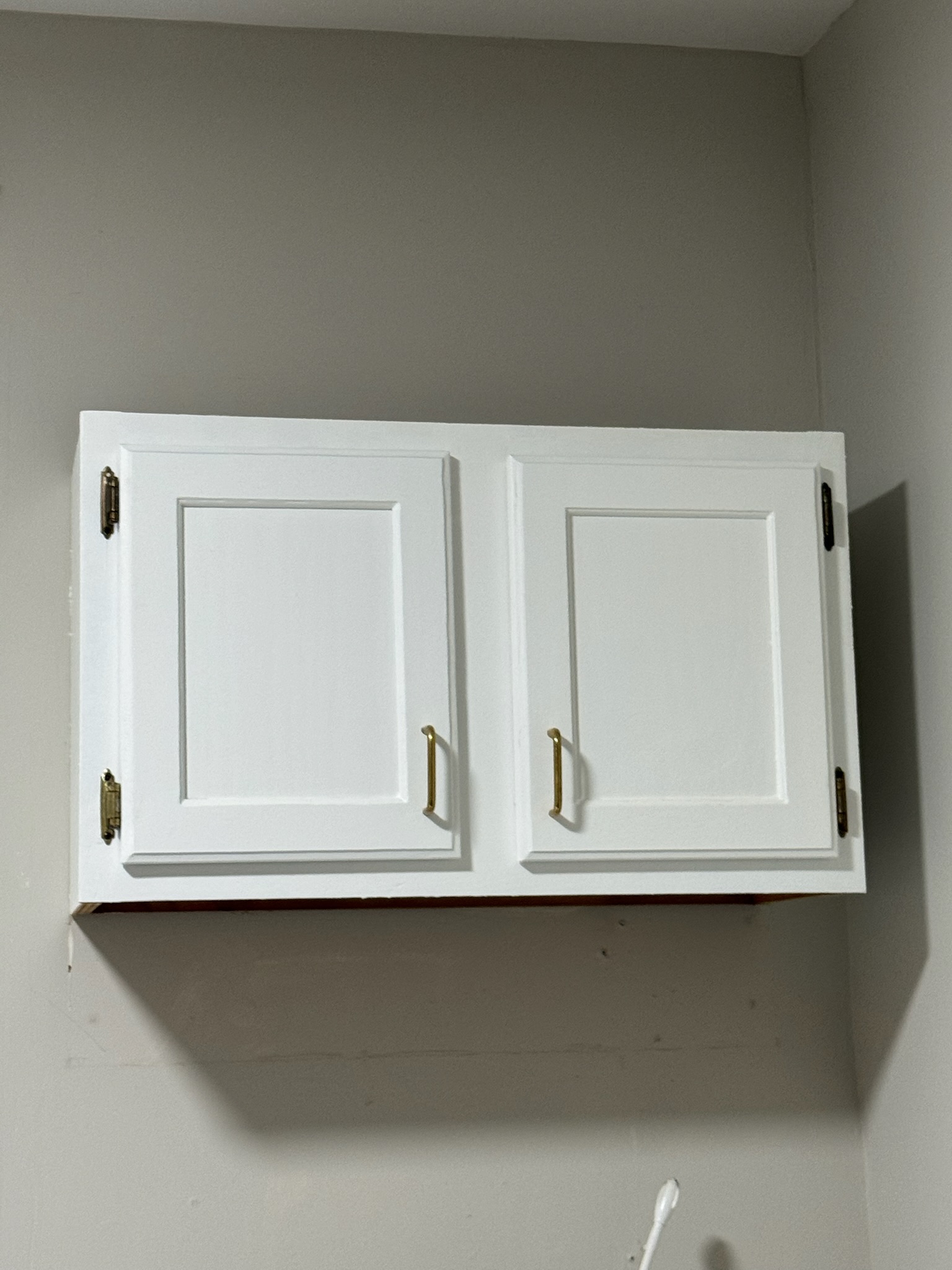 Cabinet Refinishing Project